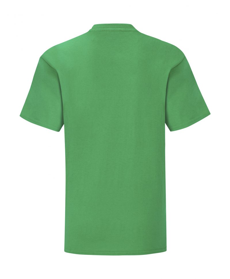 113_01_518_B-2019_01